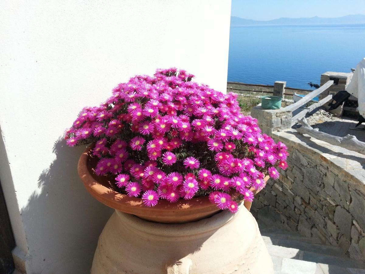 Aegean View - Seaside Apartment In Syros Azolimnos Ngoại thất bức ảnh